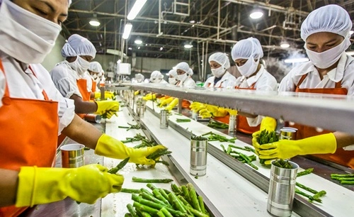 10 Profitable Manufacturing Business Ideas to Start in India