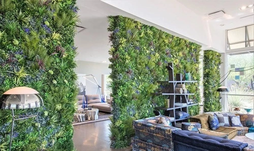Green Plant Wall Installations