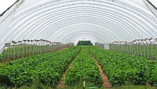 Urban Farming Kit Installation Business