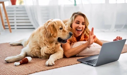Virtual Pet Training & Care Tips Online