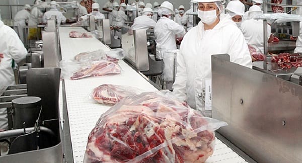 Top 10 Leading Beef Export Companies in India