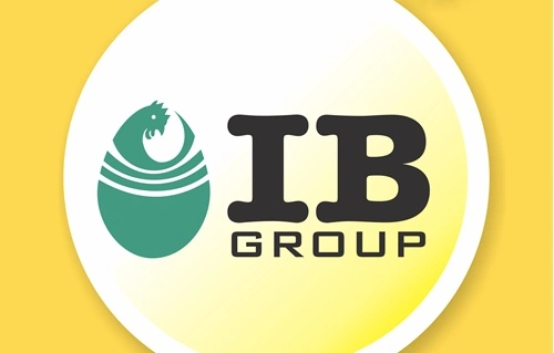 IB Group