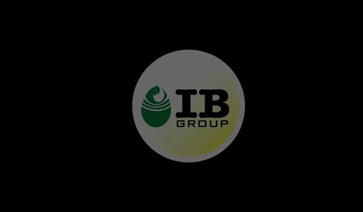 IB Group