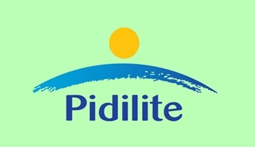 Top 10 Leading Pigment Manufacturing Companies in India