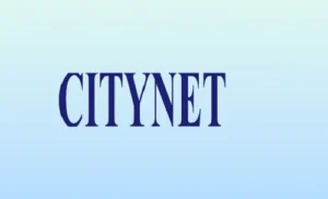 Cyient Business