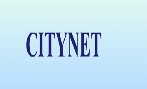 Cyient Business