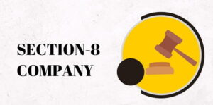 Section 8 Company